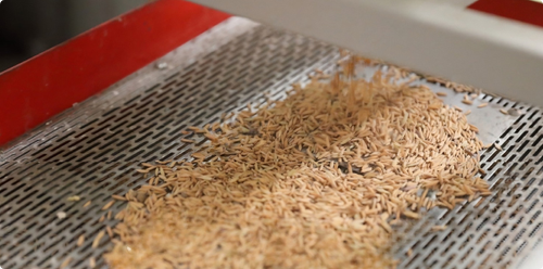 Paddy Separation — KSR Exports rice production